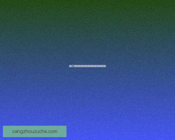 征途2武道争锋以武会友激战江湖同盟情深英雄共聚一堂